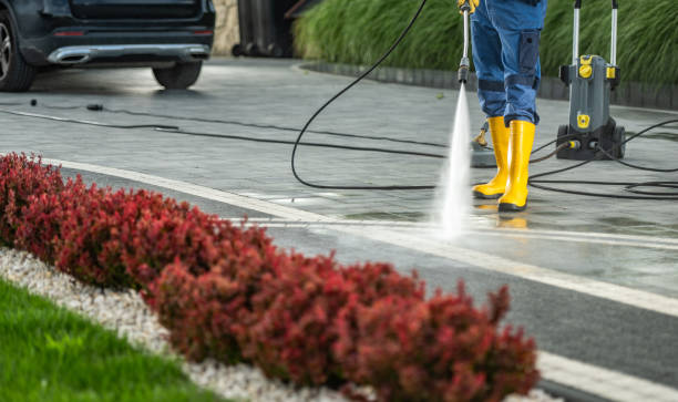 Trusted Carthage, MS Pressure Washing Services Experts
