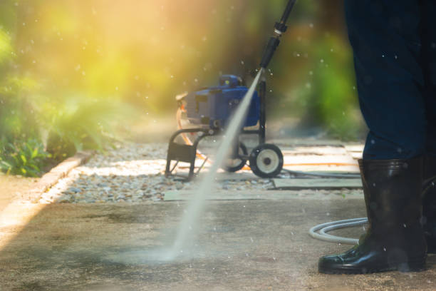 Best Residential Pressure Washing in Carthage, MS